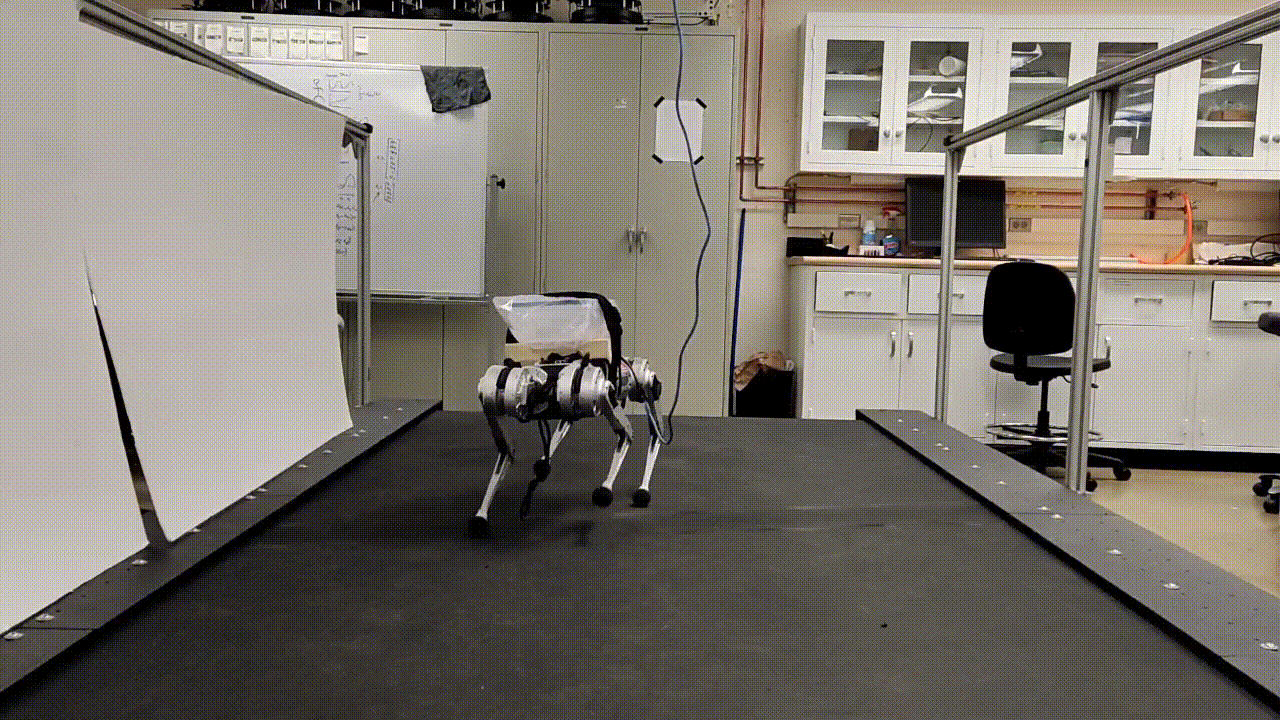 MIT Mini Cheetah carrying a case of water