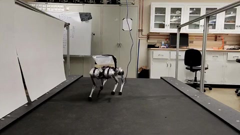 MIT Mini Cheetah carrying a case of water